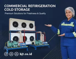 Cold Room Kualitas Premium dari BJT Chiller Freezer